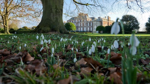 Snowdrops in the foreground of Wimpole Hall